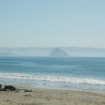 cambriaDR_0236 (November 02, 2019)